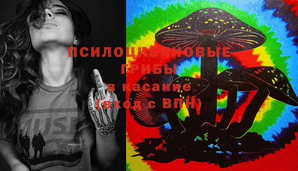 бошки Каменка